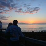 Cambria_0230 (November 04, 2017)